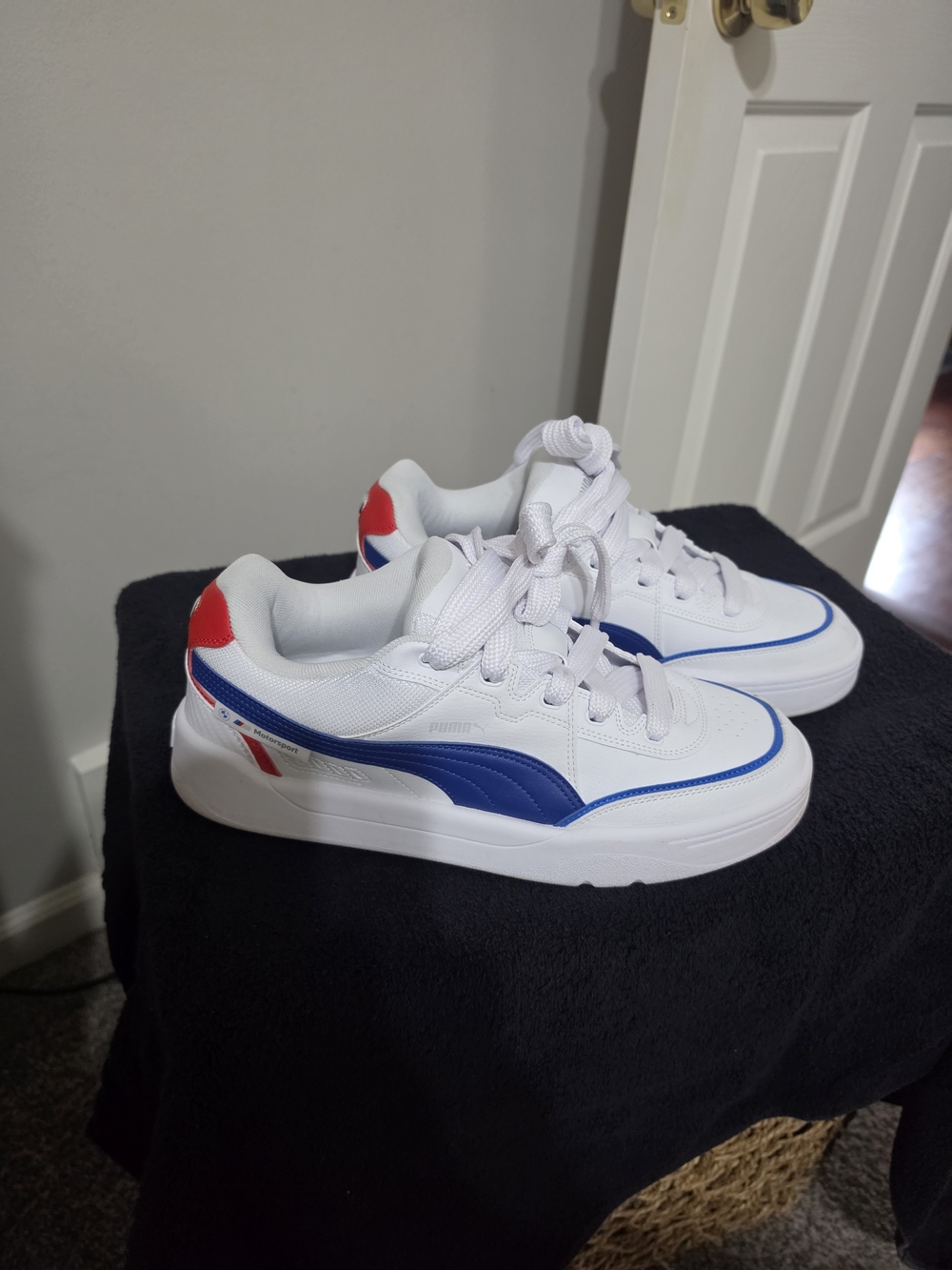 Puma Motorsport Park Sk8 size 12 (Men's - Worn Once)